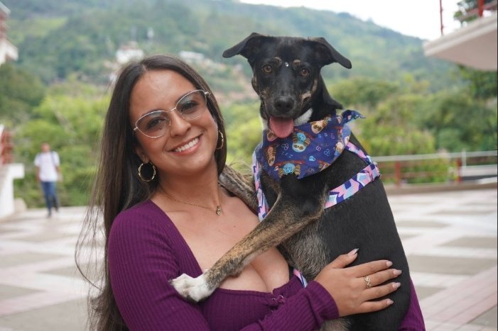 PERRITOS