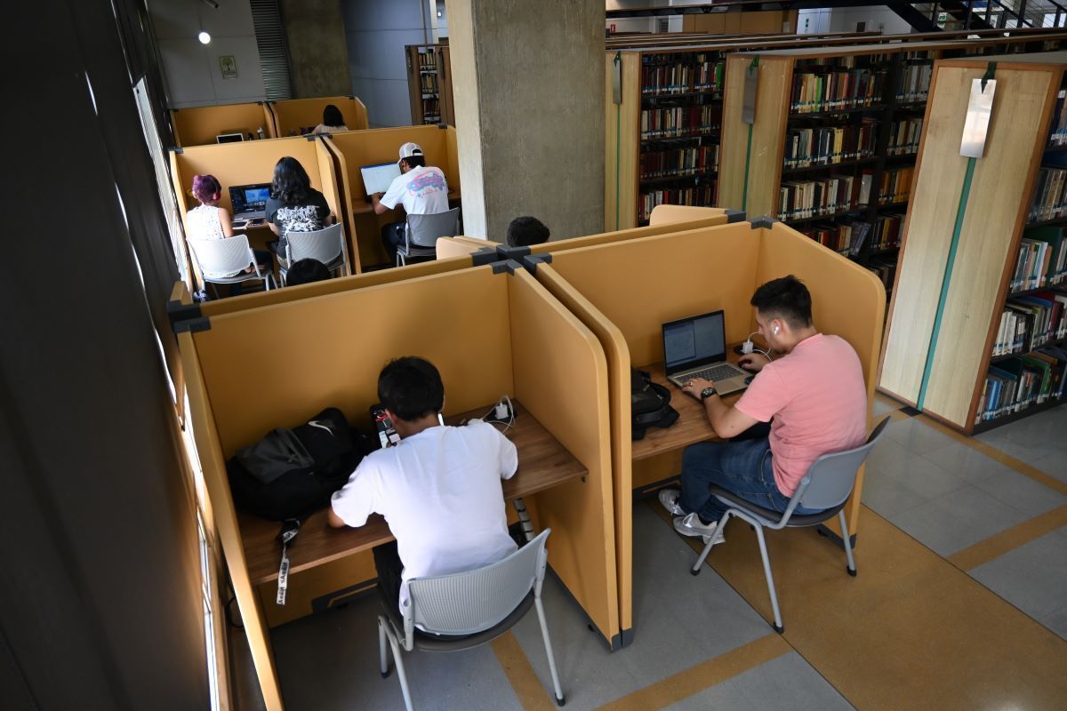 Cubiculos 1
