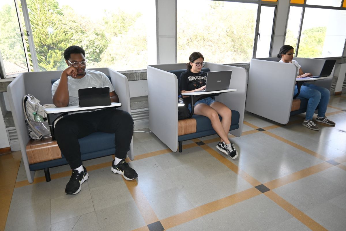 Cubiculos 2