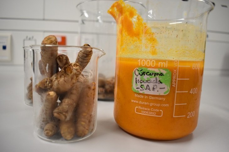 Raíz y mezcla de cúrcuma