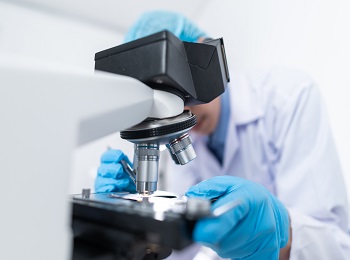 Microscopio