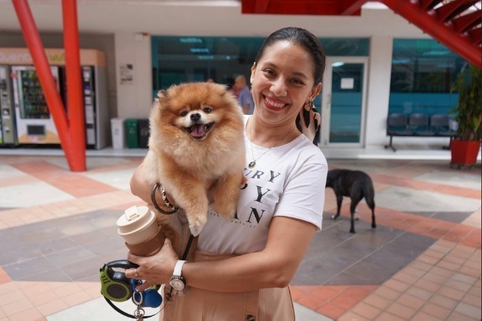 PERRITOS