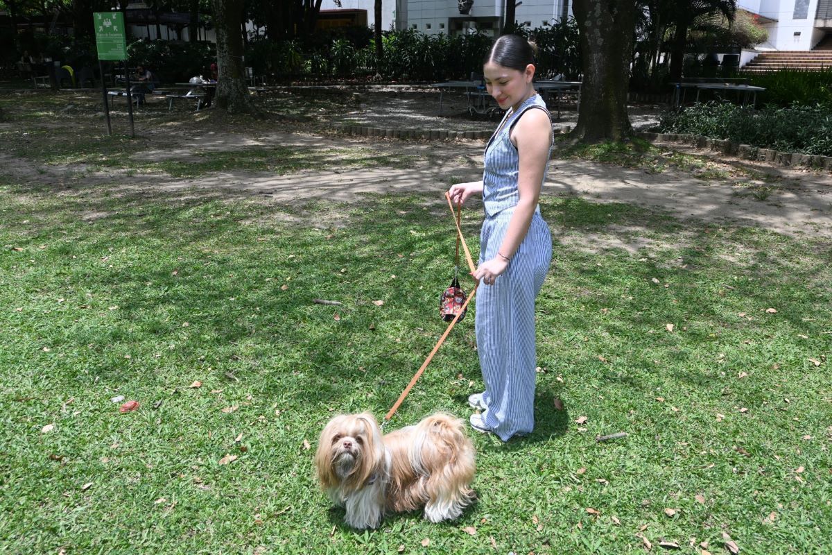 Paseo Romeo