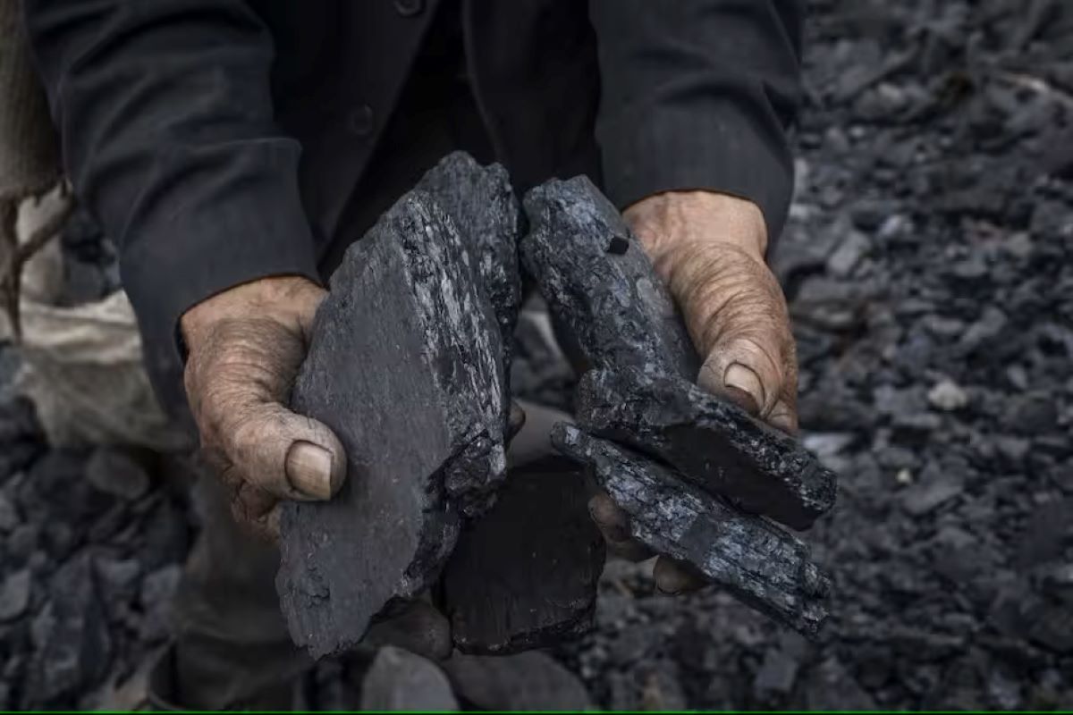 Industria del coque en Colombia: crecimiento y desafíos frente a la competencia internacional