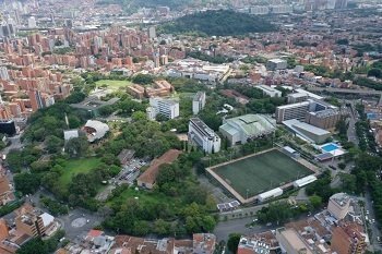 Basura Cero Oro