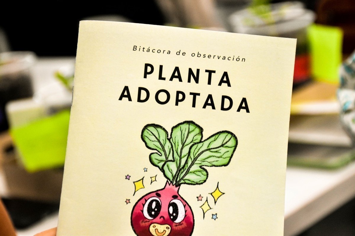 Los participantes diligenciarán, durante diez semanas, una bitácora de observación para registrar la evolución de las plantas.